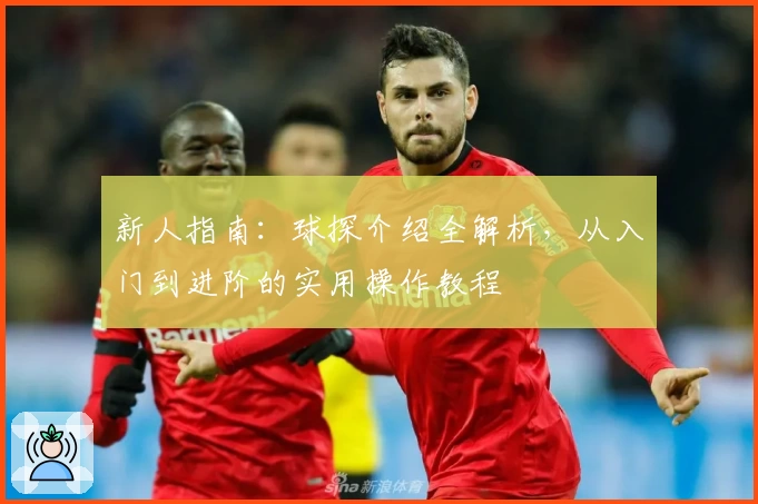 新人指南：球探介绍全解析，从入门到进阶的实用操作教程