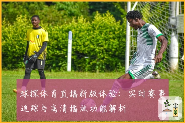 球探体育直播新版体验：实时赛事追踪与高清播放功能解析