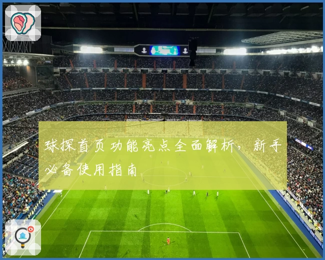 球探首页功能亮点全面解析，新手必备使用指南